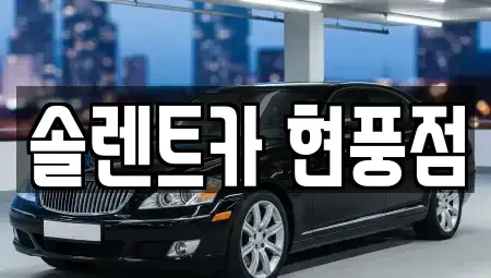 대구 달성군 구지면 렌트카 전문 솔렌트카 현풍점