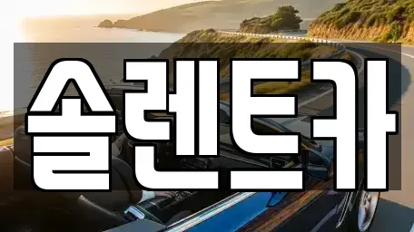 대구 달성군 구지면 렌트카 전문 솔렌트카