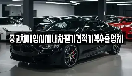 대구 달성군 구지면 중고차매입 전문 중고차매입시세내차팔기견적가격수출업체