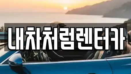 대구 달성군 렌트카 전문 내차처럼렌터카