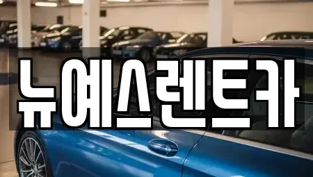 대구 달성군 렌트카 전문 뉴예스렌트카