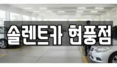 대구 달성군 렌트카 전문 솔렌트카 현풍점