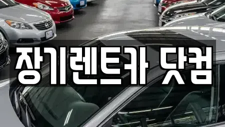 대구 달성군 장기렌트카 전문 장기렌트카 닷컴