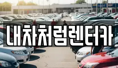 대구 동구 동호동 렌트카 전문 내차처럼렌터카