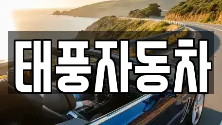 대구 동구 동호동 중고차 전문 태풍자동차
