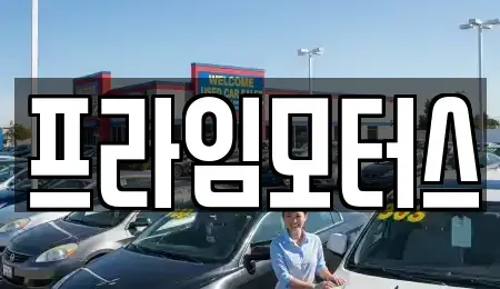 대구 동구 동호동 중고차 전문 프라임모터스