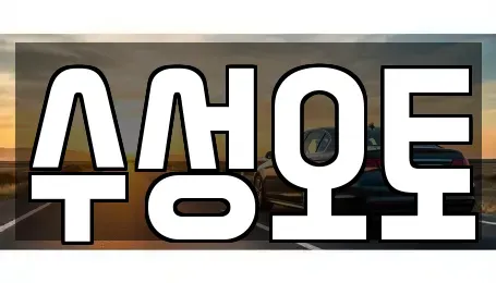 대구 동구 동호동 중고차매입 전문 수성오토