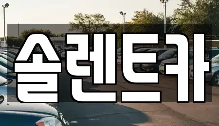 대구 동구 입석동 렌트카 전문 솔렌트카