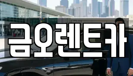 대구 북구 고성동1가 단기렌트카 전문 금오렌트카