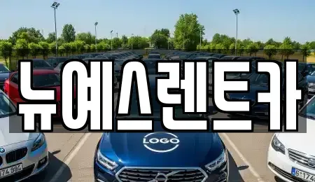 대구 북구 고성동1가 렌트카 전문 뉴예스렌트카