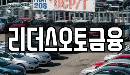 대구 북구 고성동1가 장기렌트카 전문 리더스오토금융