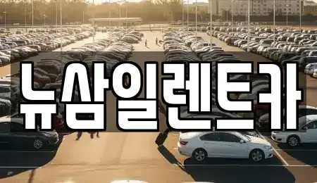 대구 북구 금호동 렌트카 전문 뉴삼일렌트카
