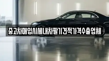 대구 북구 금호동 중고차매입 전문 중고차매입시세내차팔기견적가격수출업체