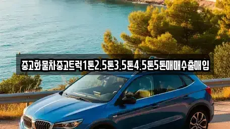 대구 북구 금호동 중고차매입 전문 중고화물차중고트럭1톤2.5톤3.5톤4.5톤5톤매매수출매입