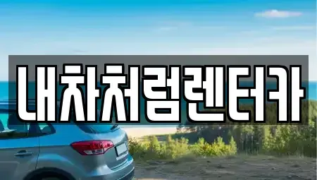 대구 북구 조야동 렌트카 전문 내차처럼렌터카