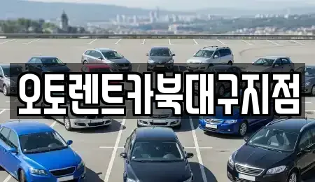 대구 북구 조야동 렌트카 전문 오토렌트카북대구지점