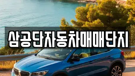 대구 북구 조야동 중고차 전문 삼공단자동차매매단지