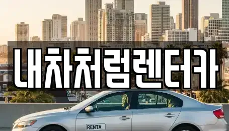대구 수성구 신매동 렌트카 전문 내차처럼렌터카