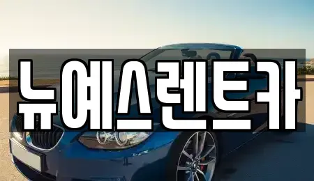 대구 수성구 신매동 렌트카 전문 뉴예스렌트카