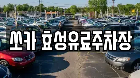 대구 수성구 신매동 렌트카 전문 쏘카 효성유료주차장