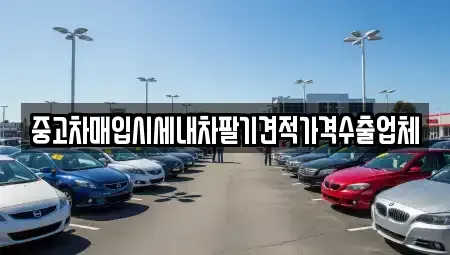 대구 수성구 신매동 중고차매입 전문 중고차매입시세내차팔기견적가격수출업체