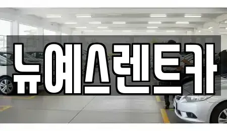 대구 중구 계산동2가 렌트카 전문 뉴예스렌트카