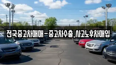 대구 중구 계산동2가 중고차매매 전문 전국중고차매매-중고차수출,사고노후차매입