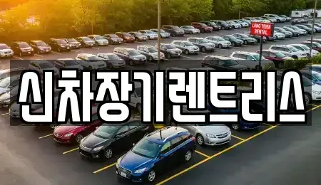 대구 중구 덕산동 렌트카 전문 신차장기렌트리스