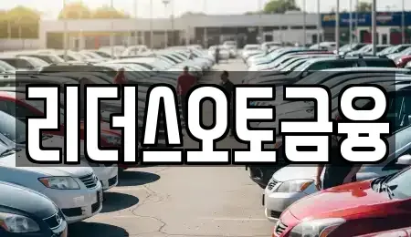 대구 중구 덕산동 장기렌트카 전문 리더스오토금융
