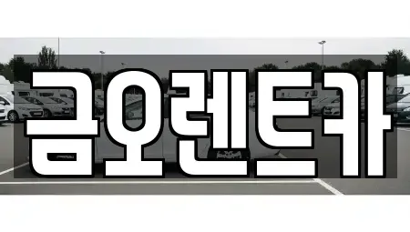대구 중구 도원동 장기렌트카 전문 금오렌트카