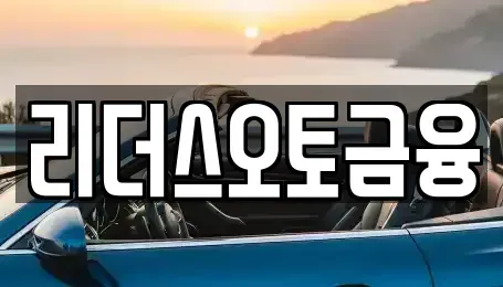 대구 중구 도원동 장기렌트카 전문 리더스오토금융