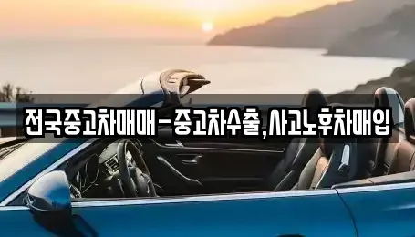 대구 중구 도원동 중고차 전문 전국중고차매매-중고차수출,사고노후차매입