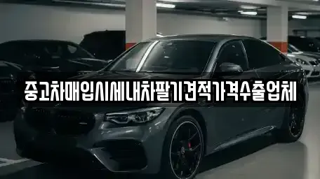 대구 중구 도원동 중고차 전문 중고차매입시세내차팔기견적가격수출업체