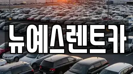 대구 중구 태평로3가 렌트카 전문 뉴예스렌트카