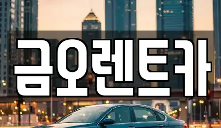 대구 중구 태평로3가 장기렌트카 전문 금오렌트카