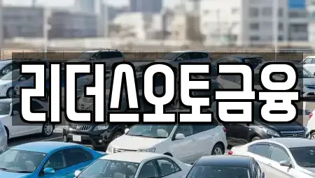 대구 중구 태평로3가 장기렌트카 전문 리더스오토금융