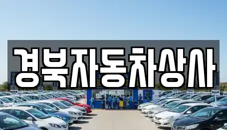 대구 중구 태평로3가 중고차 전문 경북자동차상사