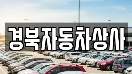 대구광역시 달서구 두류동 중고차매매 전문 경북자동차상사
