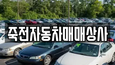 대구광역시 달서구 죽전동 중고차매매 전문 죽전자동차매매상사