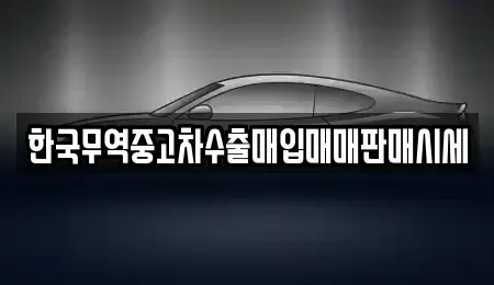 대구광역시 달서구 죽전동 중고차매매 전문 한국무역중고차수출매입매매판매시세