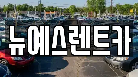 대구광역시 달성군 구지면 렌트카 전문 뉴예스렌트카