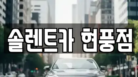 대구광역시 달성군 구지면 렌트카 전문 솔렌트카 현풍점