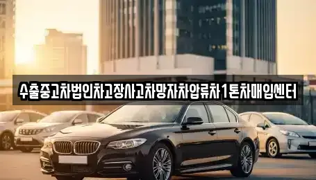 대구광역시 달성군 구지면 중고차 전문 수출중고차법인차고장사고차망자차압류차1톤차매입센터