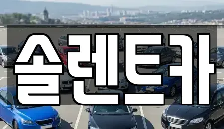 대구광역시 동구 신천동 장기렌트카 전문 솔렌트카