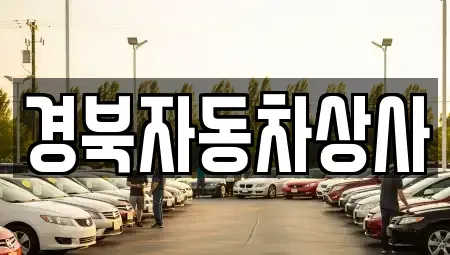 대구광역시 동구 신천동 중고차 전문 경북자동차상사