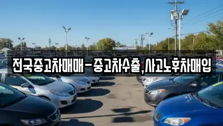 대구광역시 동구 신천동 중고차 전문 전국중고차매매-중고차수출,사고노후차매입