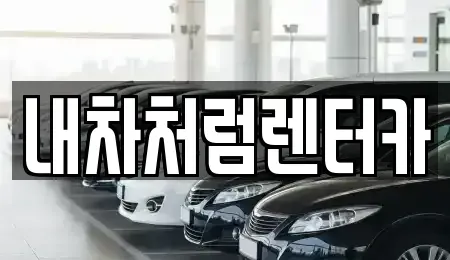 대구광역시 동구 율암동 렌트카 전문 내차처럼렌터카