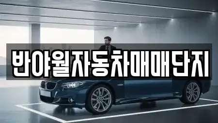 대구광역시 동구 율암동 중고차매매 전문 반야월자동차매매단지