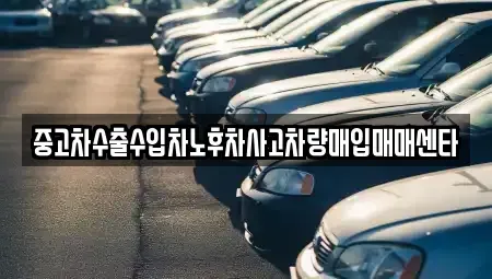 대구광역시 북구 관음동 중고차매입 전문 중고차수출수입차노후차사고차량매입매매센타