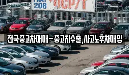 대구광역시 북구 구암동 중고차 전문 전국중고차매매-중고차수출,사고노후차매입